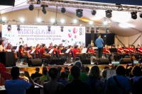 2019-01-28-4 Singapore Chinese Orchestra Music Oasis concert series celebrates spring at Gardens by the Bay on 2 February
